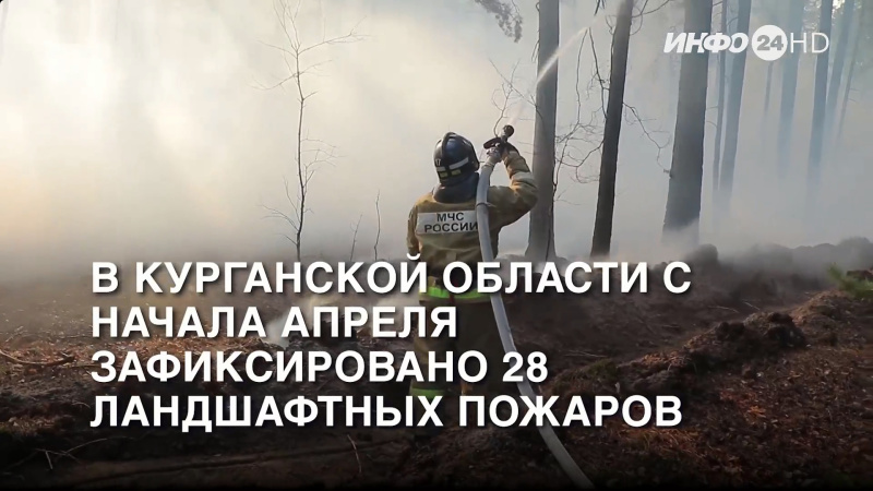 22 апреля 2024 г. Телеканал "ИНФО 24". В Курганской области с начала апреля зафиксировано 28 ландшафтных пожаров